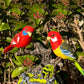 Elektrisk, batteridrevet talekontroll papegøyer