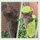 Reparasjonskrem for Plante Poding Snitt